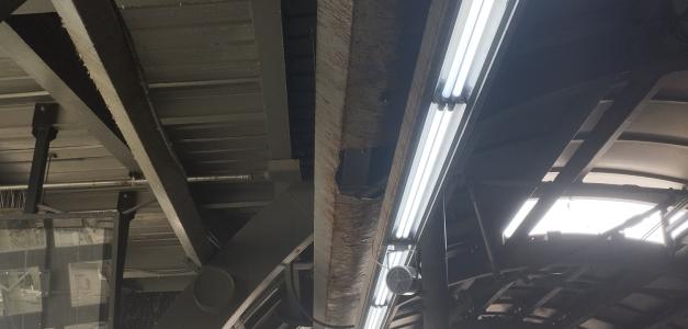 El estado crítico de la Línea 1 del Metro: insalubridad, deterioro y óxido
