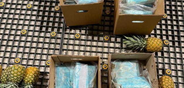Incautan 30 paquetes de cocaína en cajas de piña en el Aeropuerto de Punta Cana