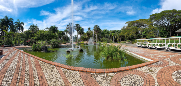 Celebración del 49 aniversario del Jardín Botánico Nacional con actividades especiales