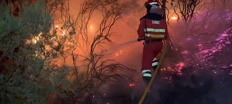 Incendios forestales en España: Regiones afectadas