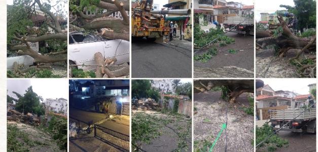 Impacto de vientos: Interrupción del servicio eléctrico