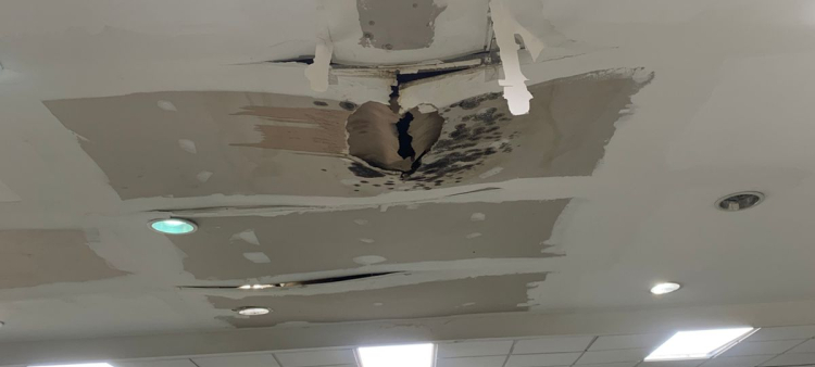 Estado de la Biblioteca UASD: sin signos de deterioro