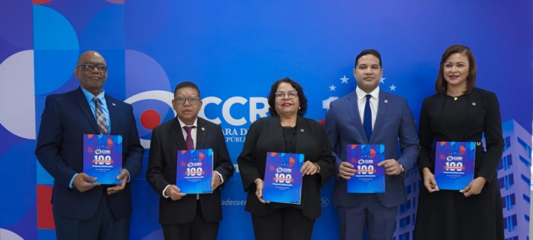 Informe de la Cámara de Cuentas: 100 días de gestión y 20 informes de auditoría