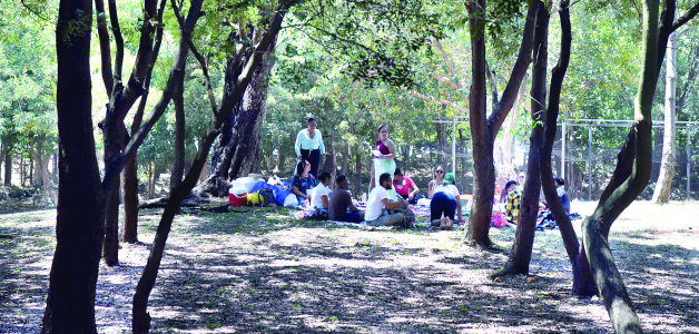 Huida al frescor: Parques como refugio ante el calor extremo