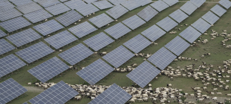 Construcción acelerada: China desarrolla el mayor parque solar global