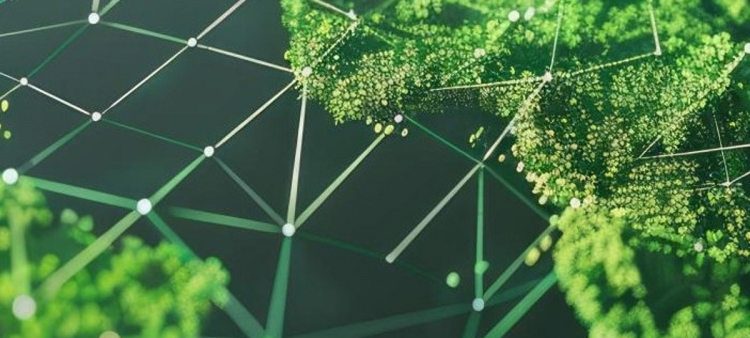 Almacenamiento de carbono subterráneo: limitado impacto en la reducción del calentamiento