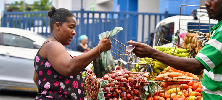 Impacto de los precios altos en la clientela de los mercados de la capital dominicana
