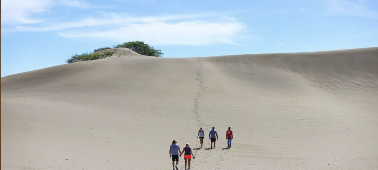 Trama de Mutilación de las Dunas de Baní