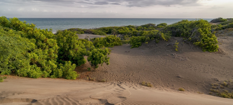 El enigma de las Dunas de Fulcar: Estrategias de delimitación y conservación