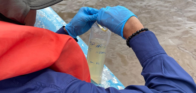 Investigación de Mortandad de Peces en el Río Soco