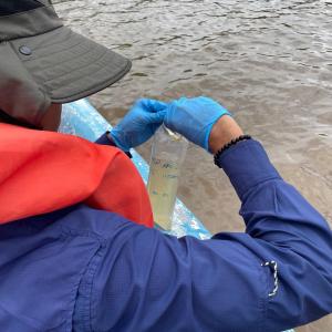 Investigación de la Mortandad de Peces en el Río Soco