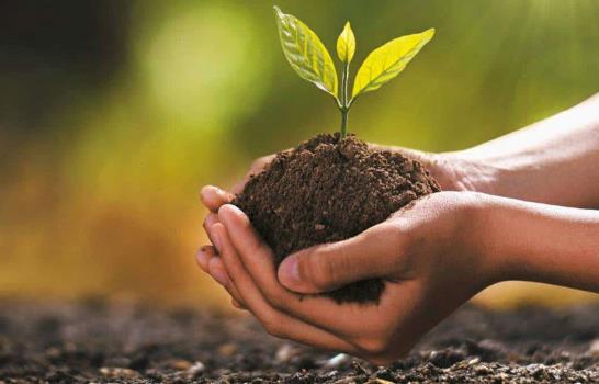 Innovación Climática: Avanzando hacia Soluciones Transformadoras