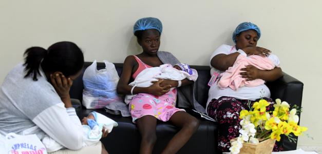 Disminución de 4,856 partos de madres haitianas en hospitales este año