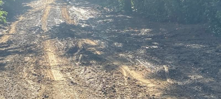 Condiciones precarias de la carretera en Altamira: una denuncia necesaria