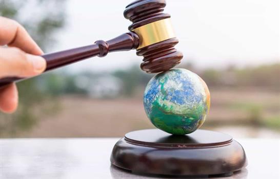 El Lado Oscuro del Ambientalismo Jurídico: Defensa Legítima o Negocio Encubierto