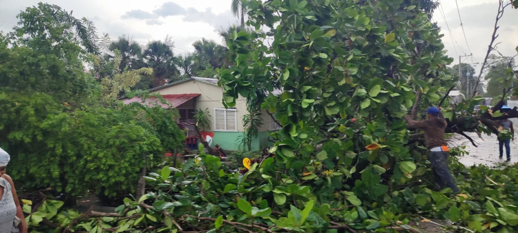 Daños causados por fuertes vientos en el Cibao: un informe de las afectaciones
