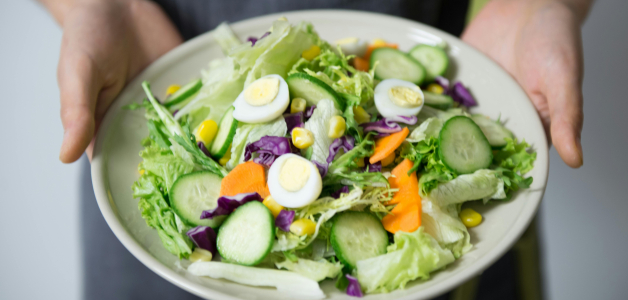La Influencia de la Dieta en el Envejecimiento Cerebral
