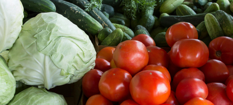 Impacto del Plástico en los Vegetales: Riesgos y Precauciones