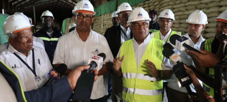 El Ingenio Porvenir: Producción proyectada de 15,000 toneladas anuales
