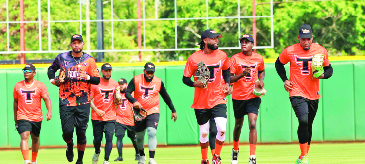 Toros renovados: en busca del éxito