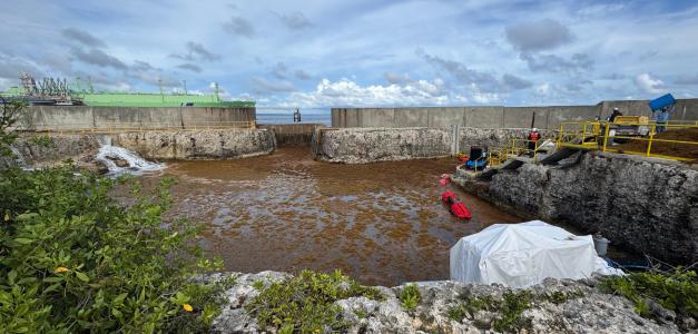 Impacto del sargazo en la planta eléctrica AES Andrés