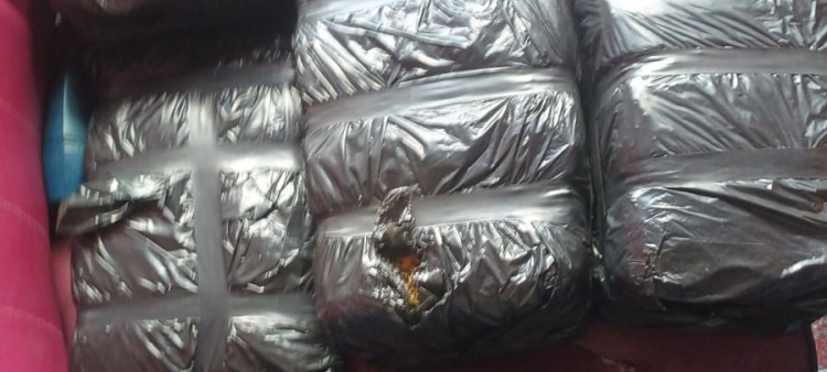 Operativo conjunto en Azua decomisa ocho pacas de marihuana