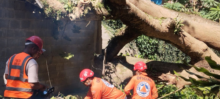Impacto del ventarrón y lluvias: 22 viviendas afectadas en Puerto Plata