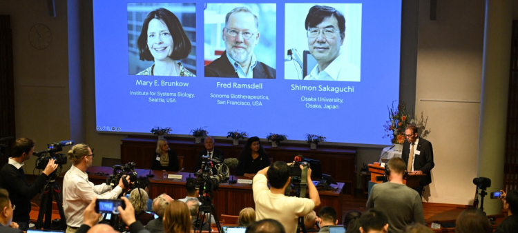 Nobel de Medicina para Brunkow, Ramsdell y Sakaguchi por la tolerancia inmunológica periférica