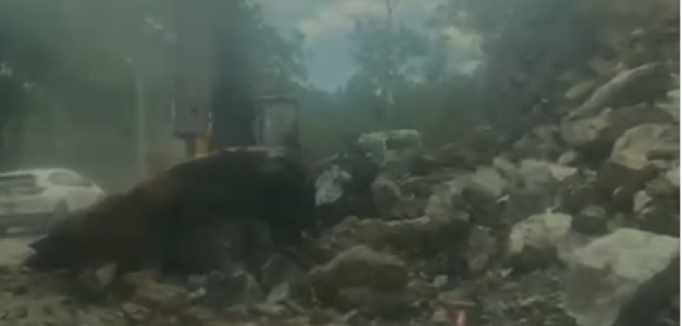 Derrumbe en Jarabacoa: Labores en vía por deslizamiento reciente