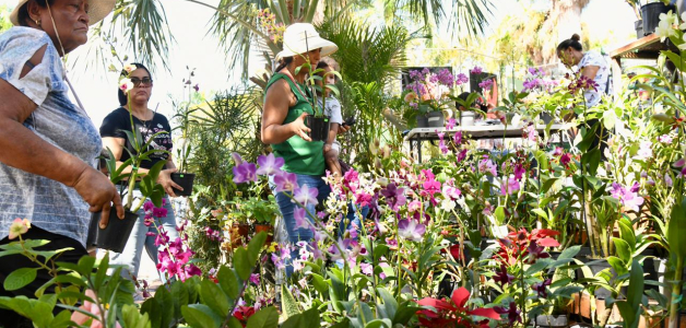 Orquídeas Predilectas en el Festival Nacional de Plantas y Flores
