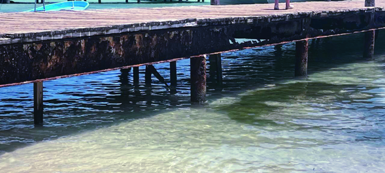 Estado crítico del muelle de Cayo Levantado