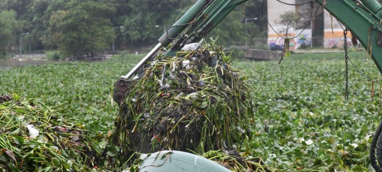 Acumulación de basura y lilas en el Puente Flotante durante la Tormenta Melissa