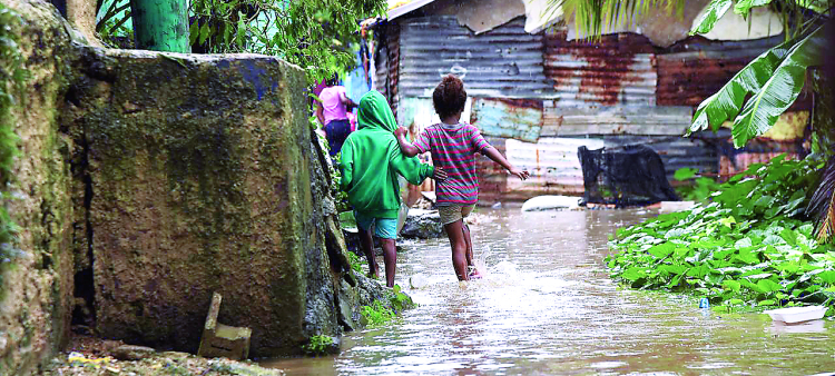 Informe: 83 casos de leptospirosis registrados en el país hasta la fecha