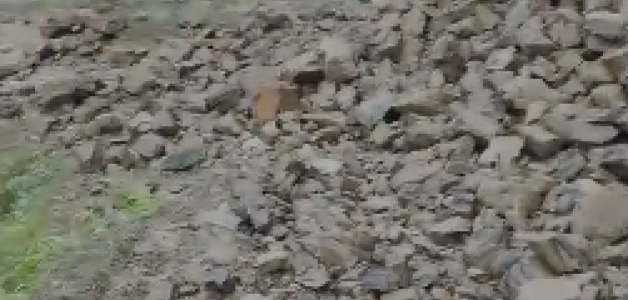 Derrumbe de piedras obstaculiza transporte de productos agrícolas en Ocoa