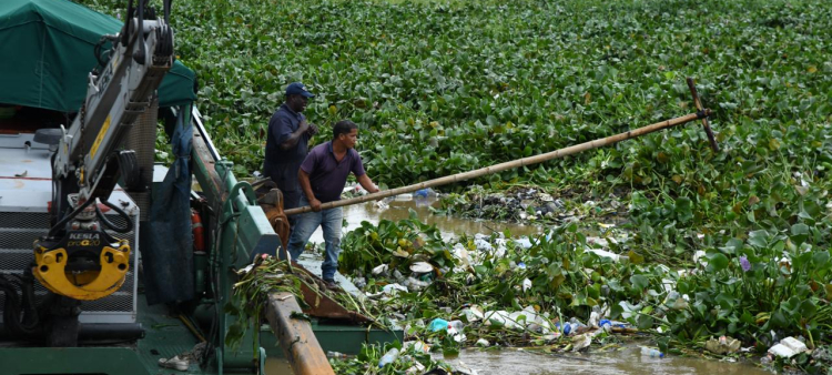 Seguirán tareas de limpieza en el Puente Flotante por acumulación de desechos
