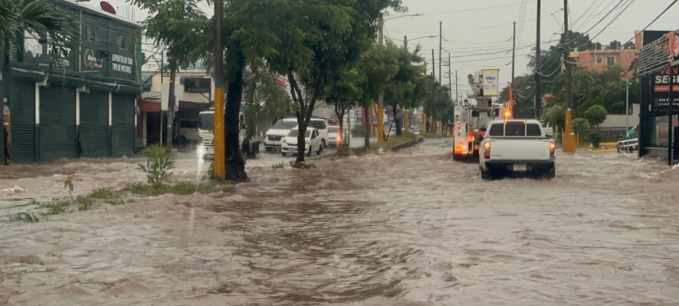 Senadores listos para declarar estado de emergencia si es necesario