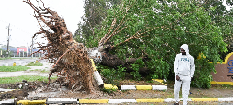 Devastación en Jamaica: Aeropuerto y hospitales destruidos, más de 15,000 desplazados