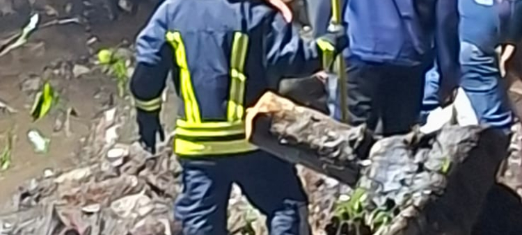 Impacto de las lluvias de Melissa: caída de postes y árboles en San José de Ocoa