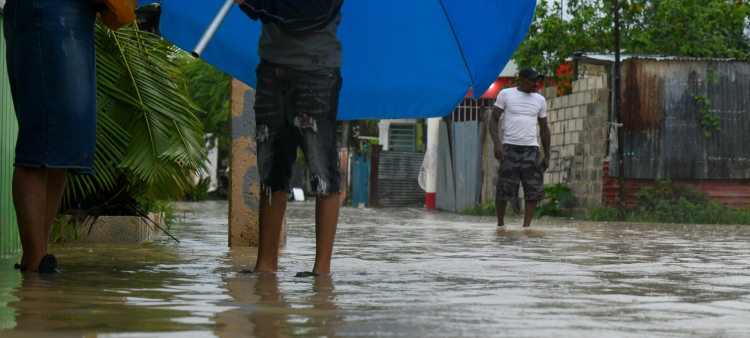 Informe: 11 nuevos casos de leptospirosis en la última semana de octubre