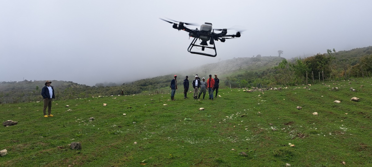 Restauración ecológica con drones en el Parque Nacional Sierra de Bahoruco: Resultados exitosos del proyecto piloto