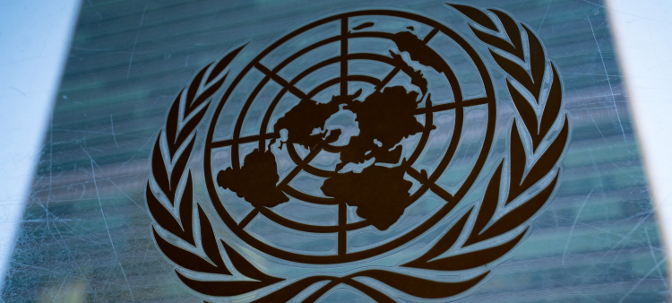 República Dominicana elegida miembro de la Comisión de Administración Pública de la ONU