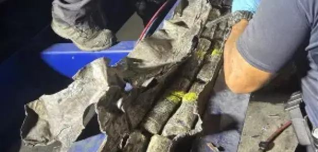 Incautado en Puerto Rico un buque con 1,668 libras de cocaína de República Dominicana.