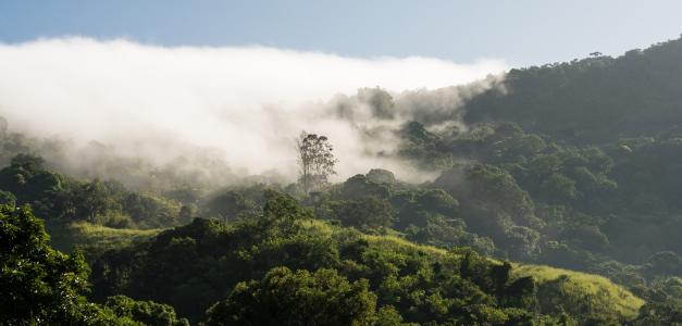 Desafíos de la gobernanza en Madre de las Aguas: administrando una reserva de biosfera.