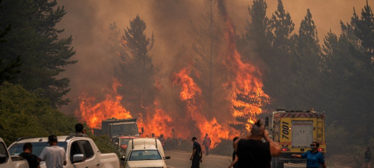 Incendios descontrolados en la Patagonia: Desafío para la conservación ambiental