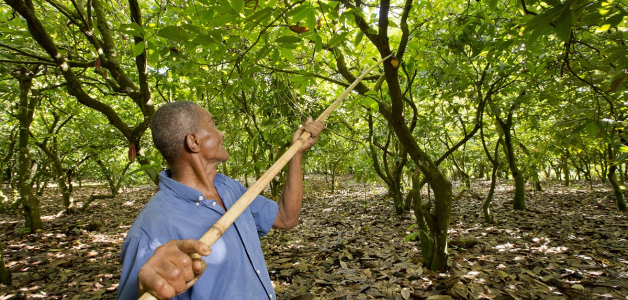 Biodiversidad en Paisajes Productivos: Capital Natural ante el Cambio Climático