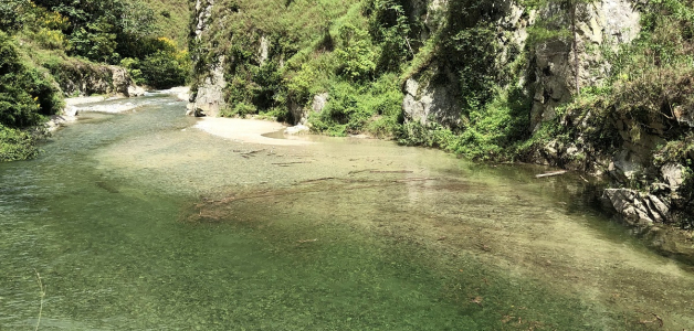 Ecoturismo en la presa Palomino: Nueva ruta y normativas actualizadas