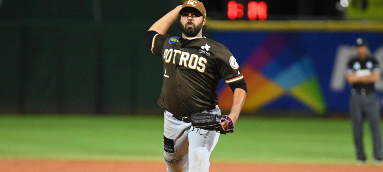 Selecciones de Jugadores Importados en la Liga de Béisbol Profesional de la República Dominicana