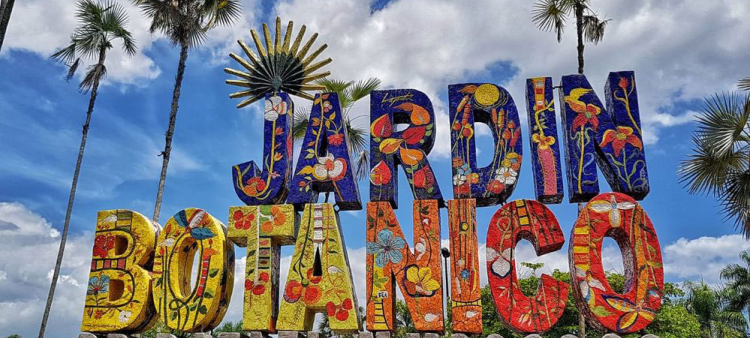 Comienza la Transformación Histórica de las Infraestructuras en el Jardín Botánico Nacional