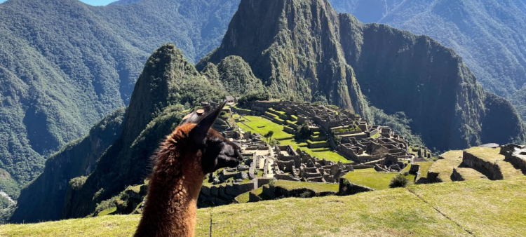 Deslizamiento de tierra cierra sendero peatonal amazónico a Machu Picchu