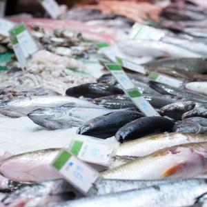 Escombroidosis: una intoxicación por pescado a tener en cuenta